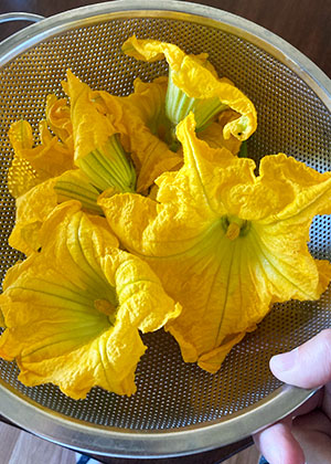 Connecticut field pumpkin, flowers for stuffing